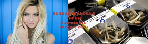 каннабис Арсеньев