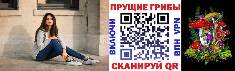 Псилоцибиновые грибы GOLDEN TEACHER  Артёмовский 